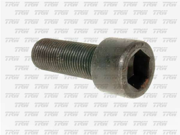 Tornillo carcaza valvula tas 85 volvo - Imagen principal