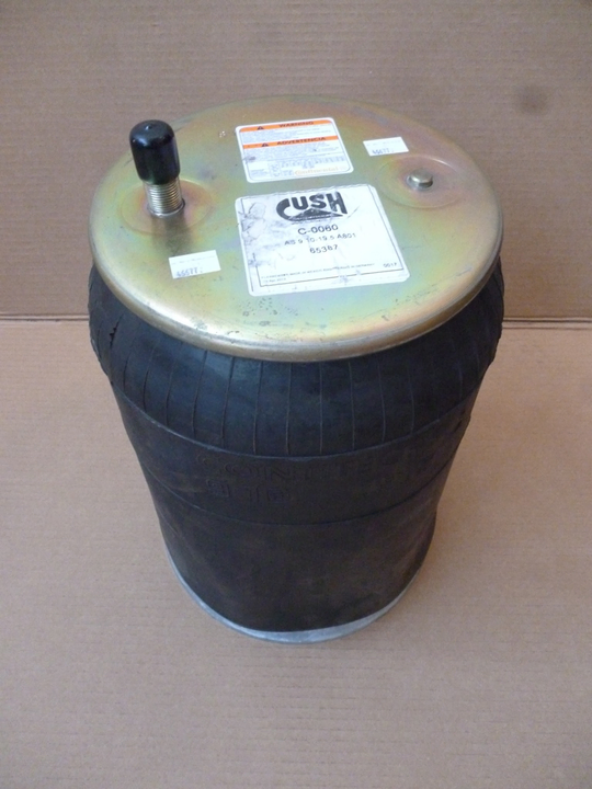 Vejiga susp.(completa) susp.neumat - Imagen principal