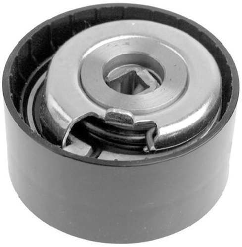 Polea tensora - Imagen principal