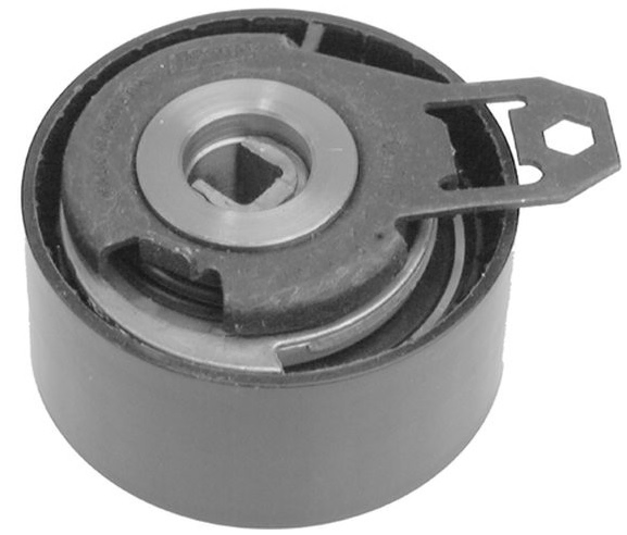 Polea tensora - Imagen principal