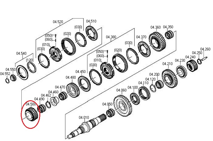Piñon helico - Imagen principal