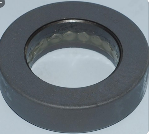 Ruleman perno maestro - Imagen principal