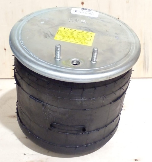 Vejiga susp.(completa) 1t17arm-4  delantera - Imagen principal