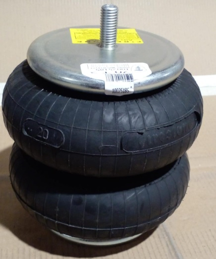 Vejiga susp.(completa) 20 trasera - Imagen principal