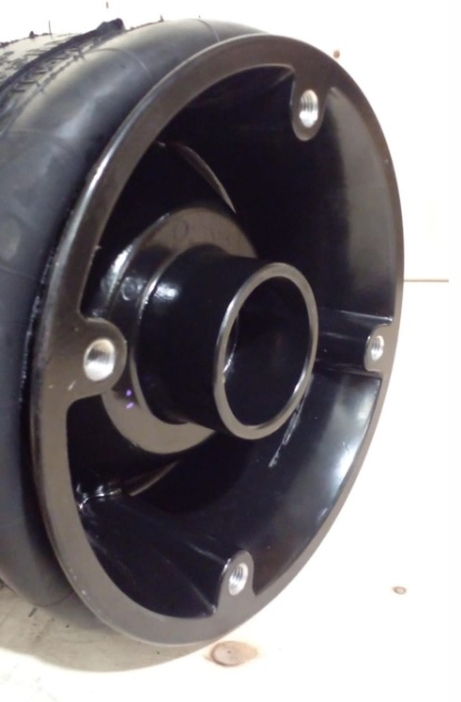 Vejiga susp.(completa) 1t15m-2 delantero - Vista 2