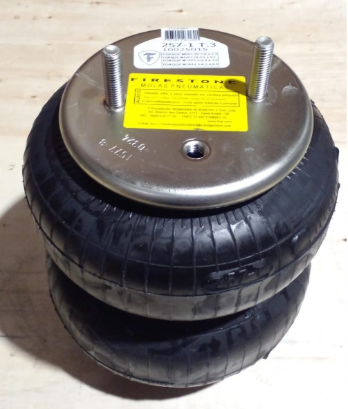 Vejiga susp.(completa) 257-1 eje elevable - Imagen principal