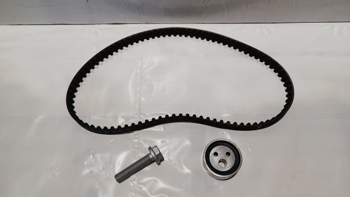 Kit distribucion motor(polea+correa) - Imagen principal