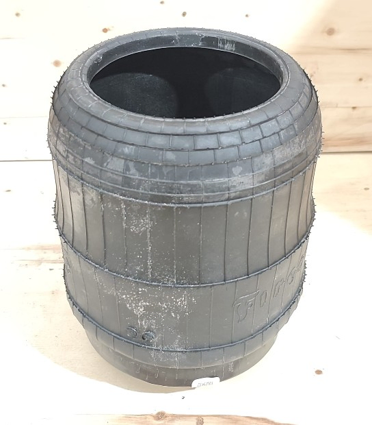 Vejiga susp.(completa) 1r5p-370-275 tra - Imagen principal