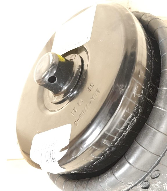 Vejiga susp.(completa) 1r5p-370-275 tra - Vista 2